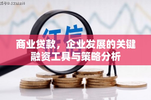 石冈商业贷款，企业发展的关键融资工具与策略分析