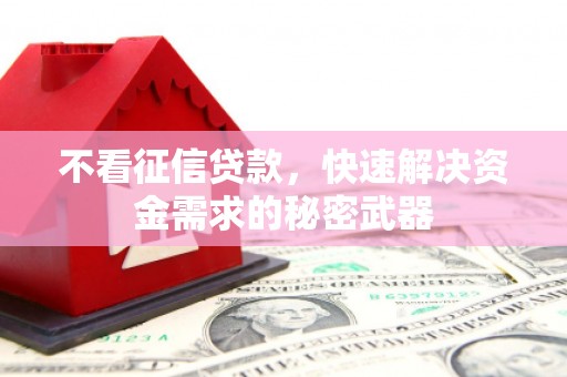 石冈不看征信贷款，快速解决资金需求的秘密武器