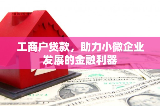 石冈工商户贷款，助力小微企业发展的金融利器