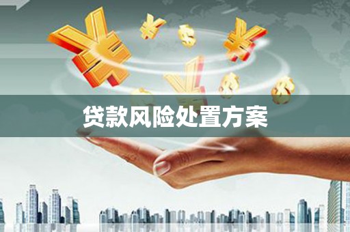 石冈贷款风险处置方案