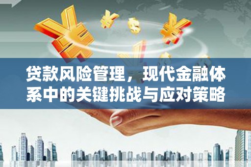 石冈贷款风险管理，现代金融体系中的关键挑战与应对策略