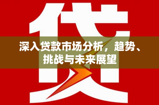 石冈深入贷款市场分析，趋势、挑战与未来展望