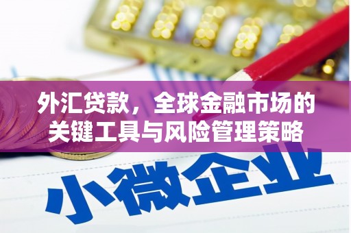 石冈外汇贷款，全球金融市场的关键工具与风险管理策略