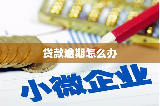 石冈贷款逾期怎么办
