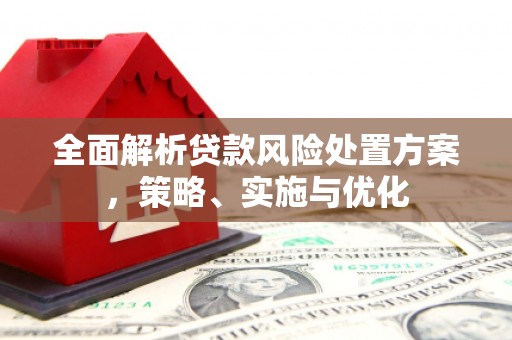 石冈全面解析贷款风险处置方案，策略、实施与优化