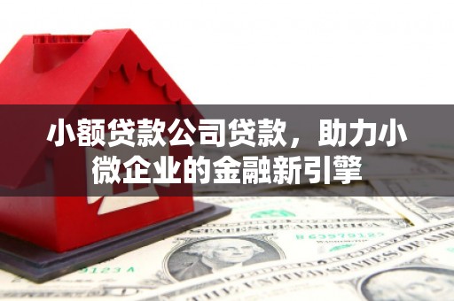 石冈小额贷款公司贷款，助力小微企业的金融新引擎