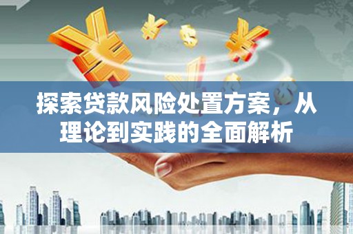 石冈探索贷款风险处置方案，从理论到实践的全面解析