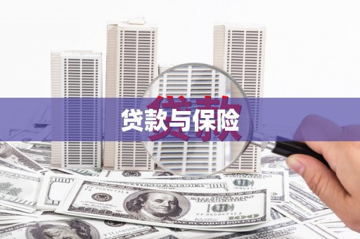 石冈贷款与保险