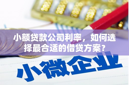 石冈小额贷款公司利率，如何选择最合适的借贷方案？