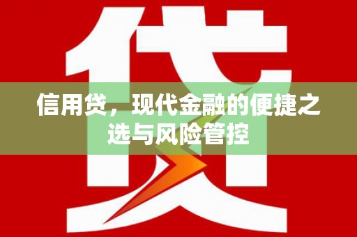 石冈信用贷，现代金融的便捷之选与风险管控