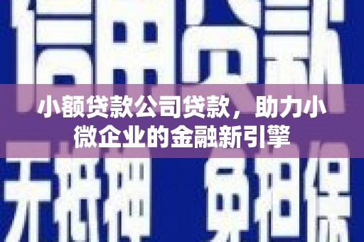 石冈小额贷款公司贷款，助力小微企业的金融新引擎