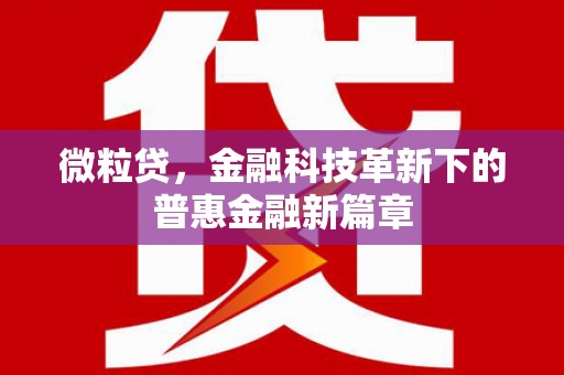 石冈微粒贷，金融科技革新下的普惠金融新篇章