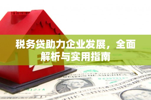 石冈税务贷助力企业发展，全面解析与实用指南