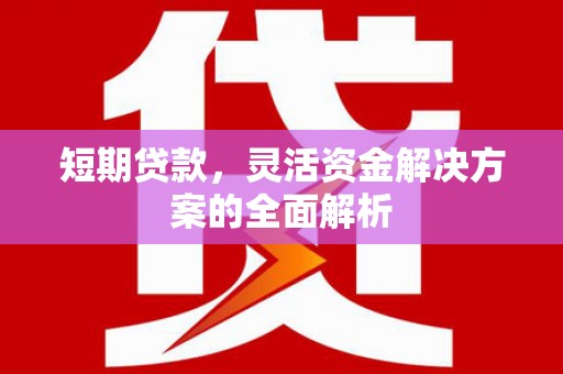 石冈短期贷款，灵活资金解决方案的全面解析