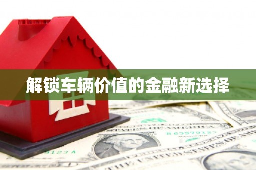 石冈解锁车辆价值的金融新选择