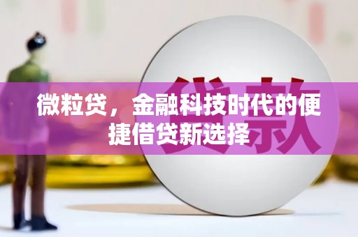 石冈微粒贷，金融科技时代的便捷借贷新选择