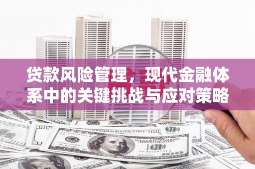 石冈贷款风险管理，现代金融体系中的关键挑战与应对策略