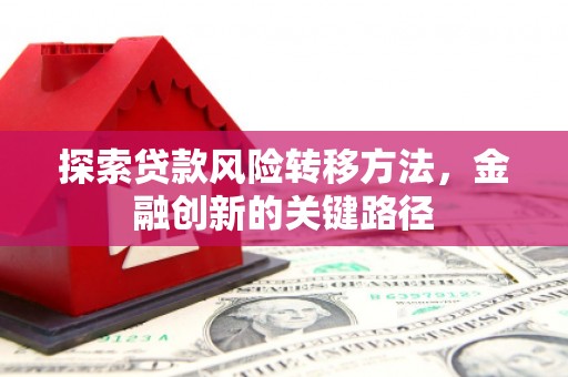 石冈探索贷款风险转移方法，金融创新的关键路径
