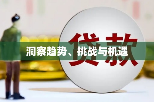 石冈洞察趋势、挑战与机遇