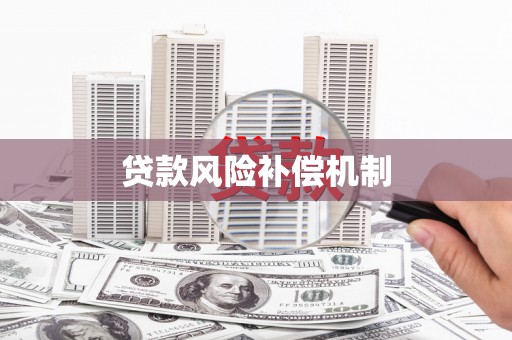石冈贷款风险补偿机制