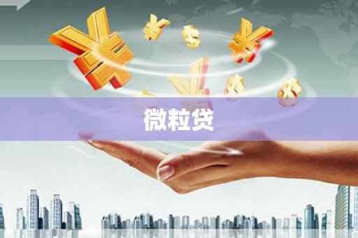 石冈微粒贷
