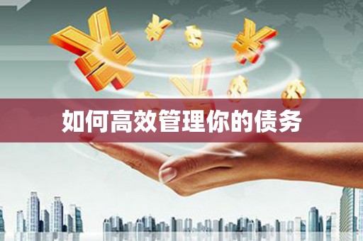 石冈如何高效管理你的债务