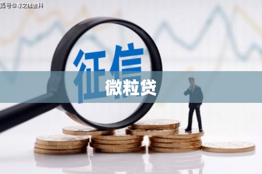 石冈微粒贷