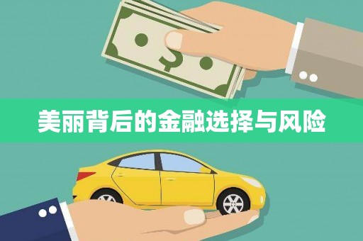 石冈美丽背后的金融选择与风险