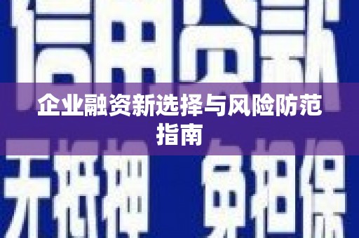 石冈企业融资新选择与风险防范指南