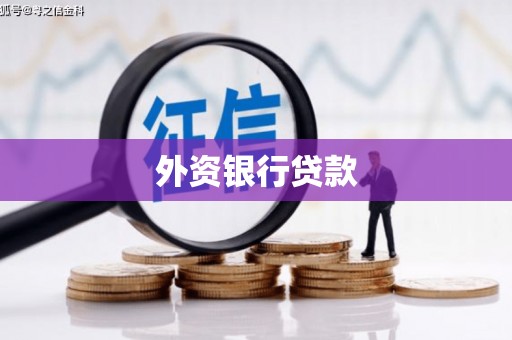 石冈外资银行贷款