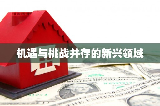 石冈机遇与挑战并存的新兴领域