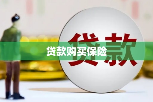 石冈贷款购买保险