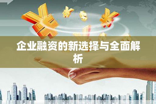 石冈企业融资的新选择与全面解析