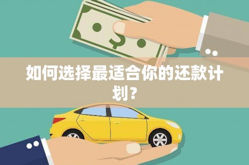 石冈如何选择最适合你的还款计划？