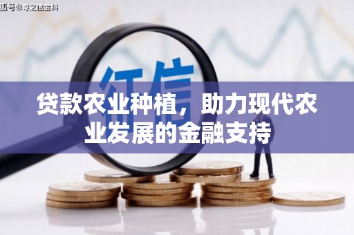 石冈贷款农业种植，助力现代农业发展的金融支持