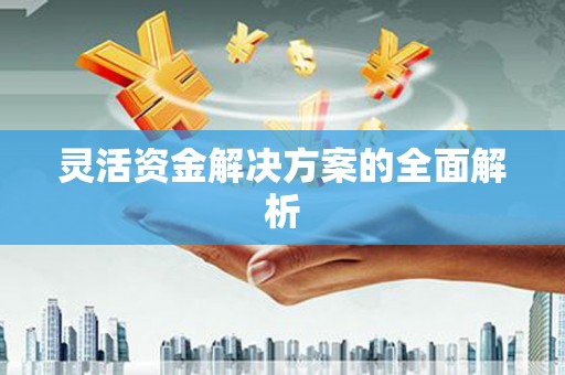 石冈灵活资金解决方案的全面解析