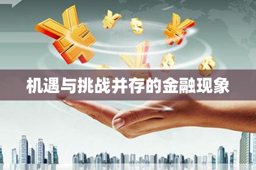 石冈机遇与挑战并存的金融现象