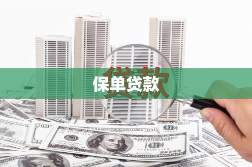 石冈保单贷款